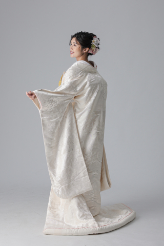 ピンクライン菖蒲　胡蝶蘭 蝶/アイボリー