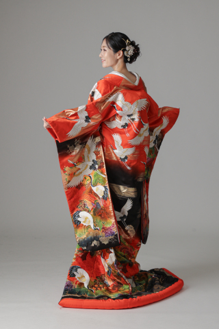 金霞 舞鶴/レッド