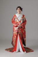 金雲取文様 蝶 鶴/レッド