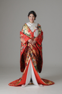 金霞 四季花 蝶/レッド