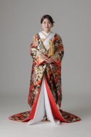 鳳凰 蝶 竜胆 金散らし