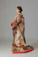 孔雀 菊/ゴールド