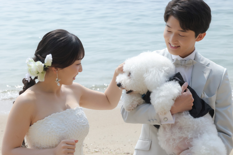 記念に残る撮影を愛犬も一緒に
