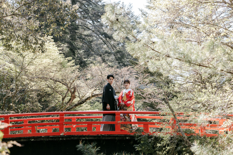 キリッとしたお写真も