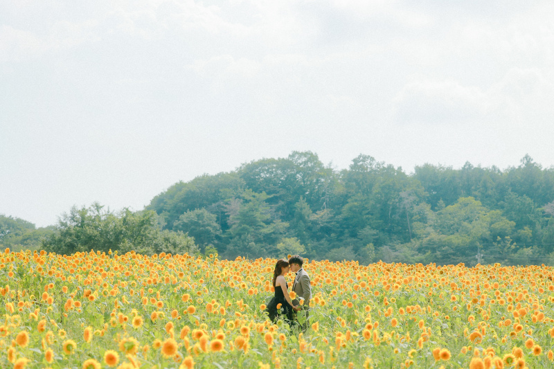 ひまわり畑の中で