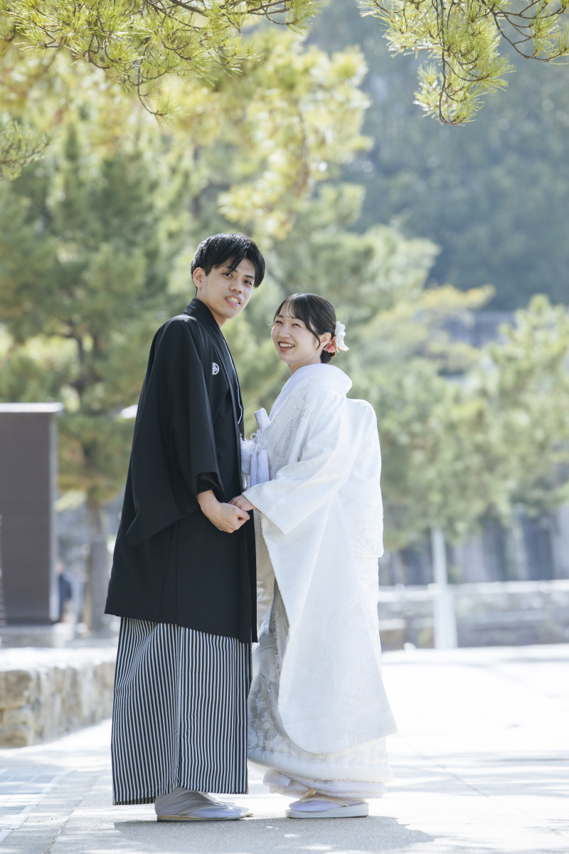 木漏れ日の散歩道