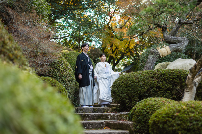 緑豊かな庭園を歩む