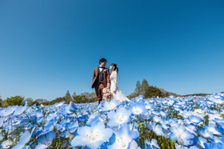 春色に染まる世羅高原で紡ぐ、ふたりの物語