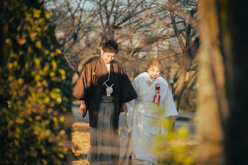 木々の隙間から