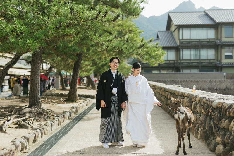 宮島の鹿とおふたり
