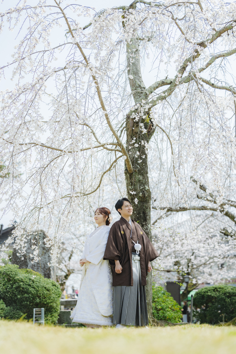 桜の木の下で