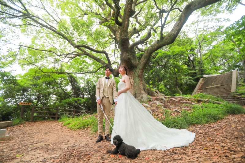 ワンちゃんと一緒に