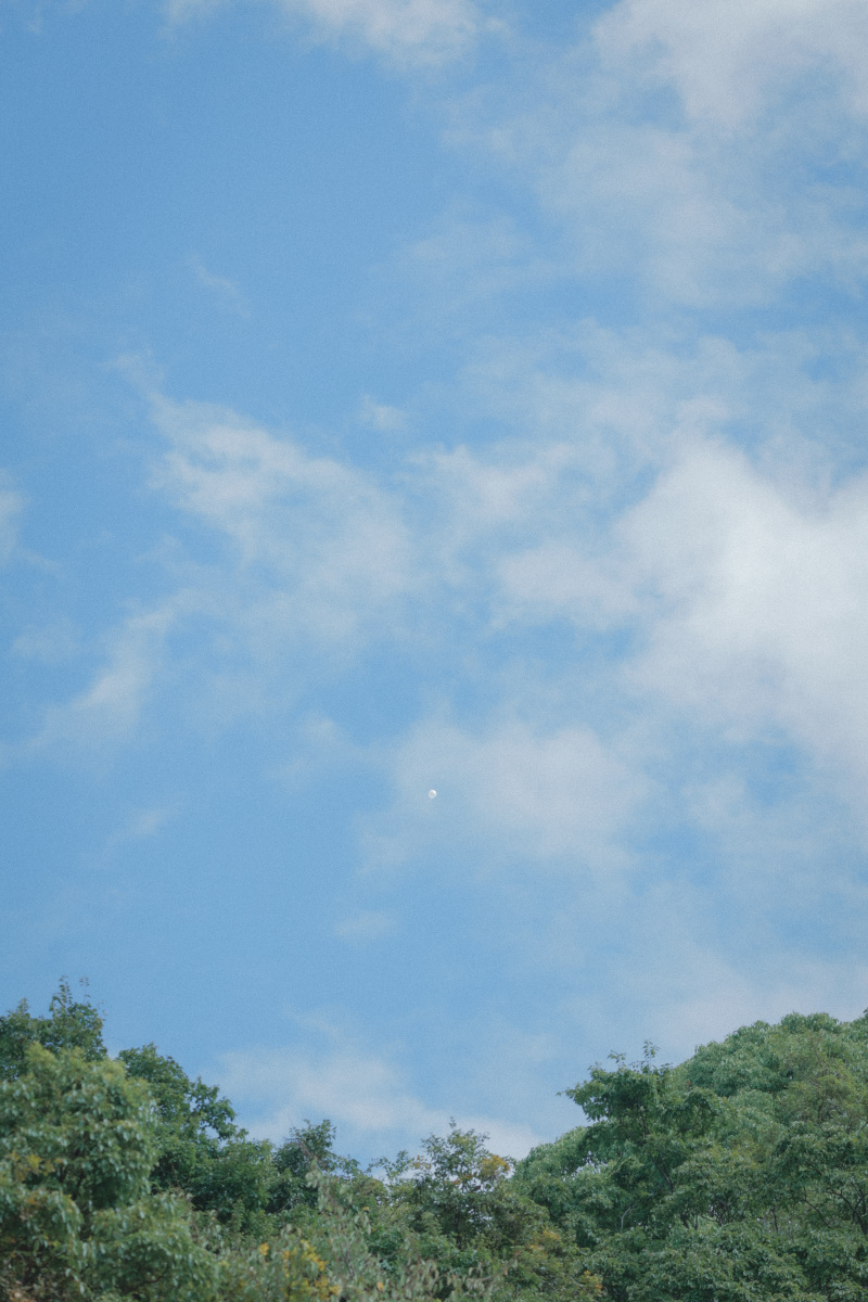 青空と