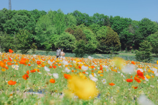 お花に囲まれて