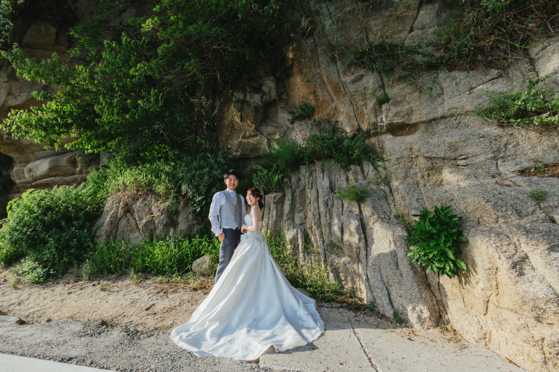 大自然の背景に