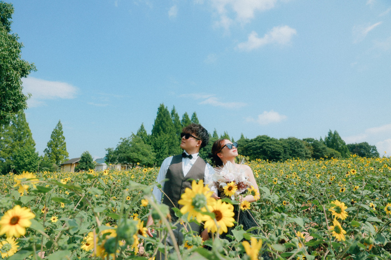 青空とひまわり