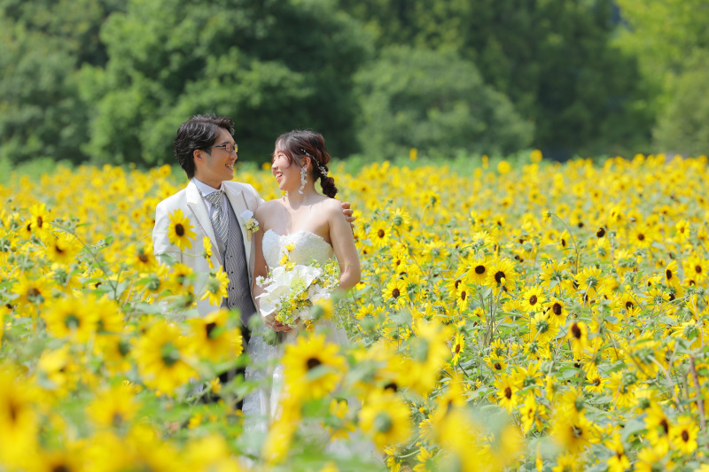 思い出のひまわりに囲まれて