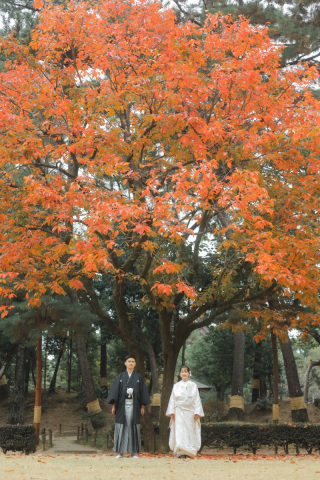 【縮景園】豊かな大自然と共に