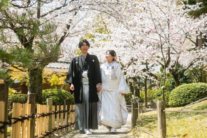 手をつないで桜の道を歩くお二人