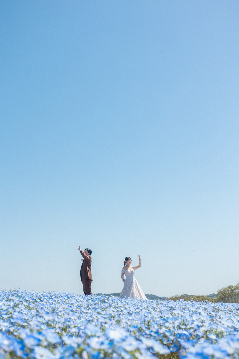 青空とネモフィラに包まれて