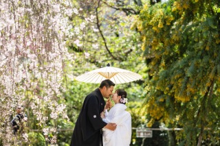 桜と共に〜縮景園〜