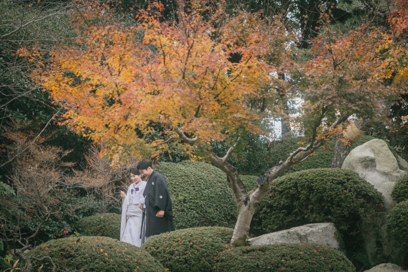 紅葉の階段の上