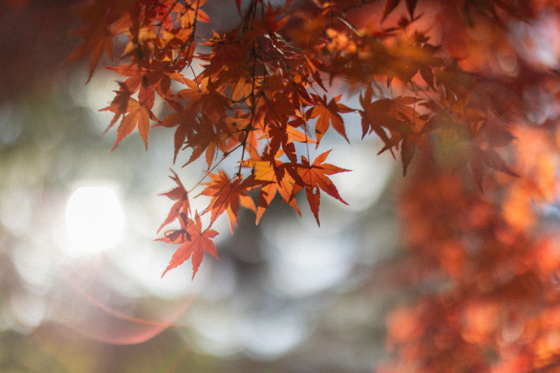 光が差し込んで