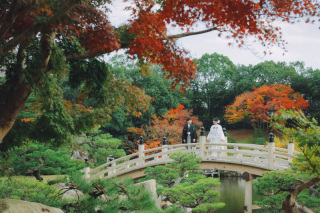 和装撮影にぴったり！紅葉の三景園