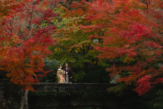 紅葉真っ盛り！宮島撮影！
