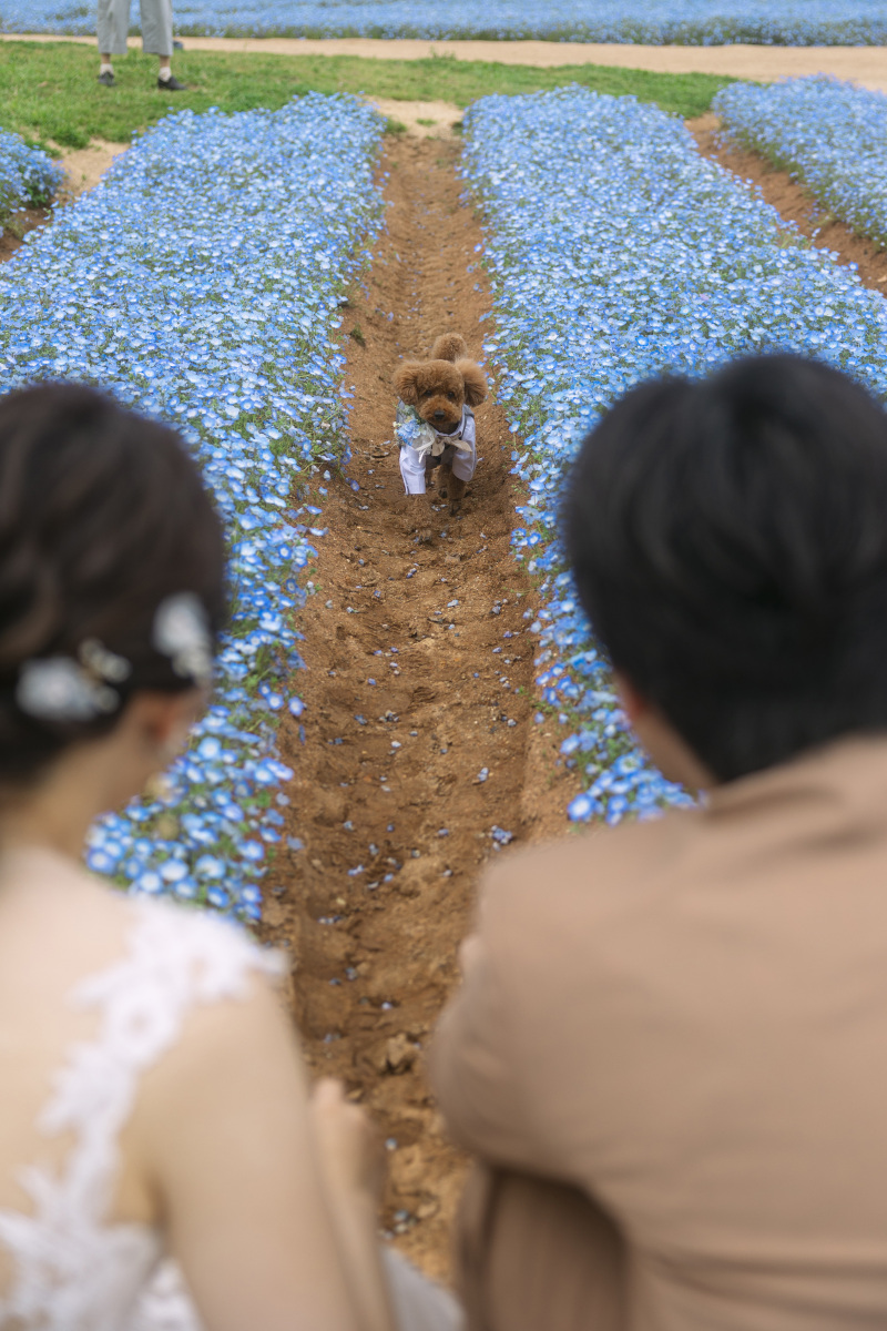 ワンちゃんとの撮影