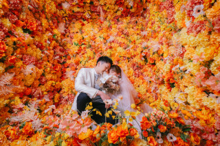 ハウススタジオ