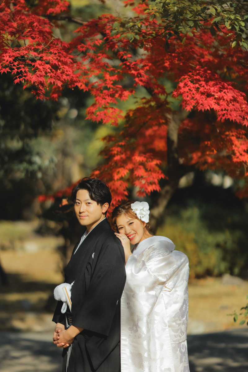 光に照らされて