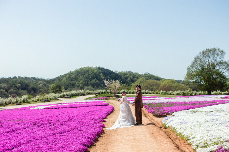 春色の道で振り返る