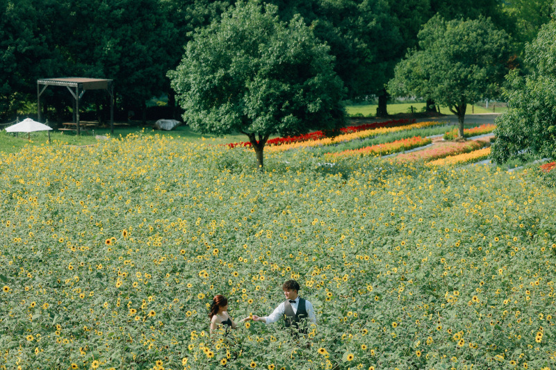 手を取り合って