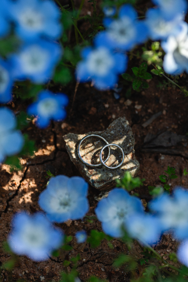 ネモフィラに包まれた誓い