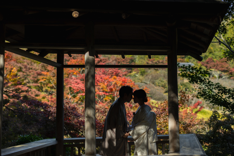 紅葉の木漏れ日