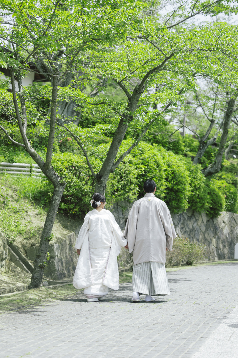 綺麗な緑と一緒に