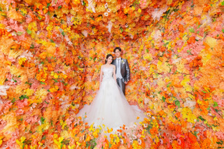 STUDIO TVB 広島店（スタジオTVB）