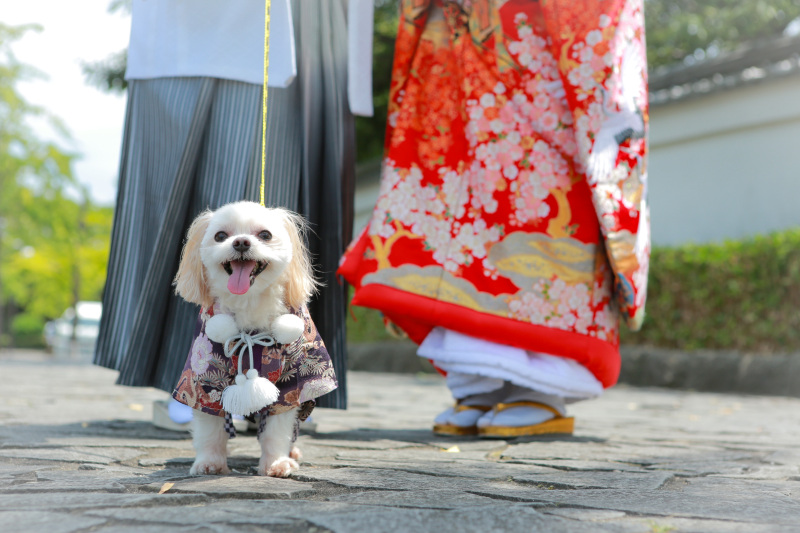 STUDIO TVB 広島店(スタジオTVB)_ペットと一緒に撮影できる