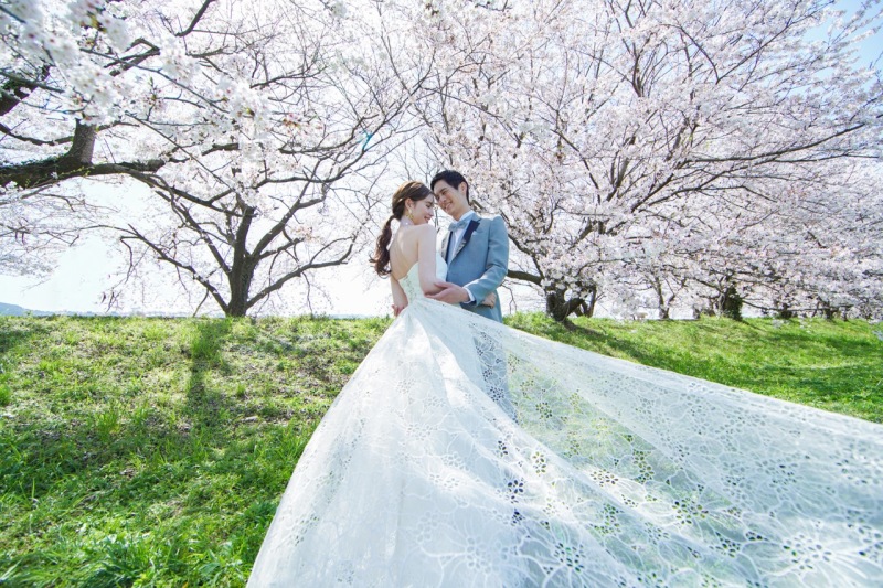 春シーズン限定　白竜湖桜ロケーション