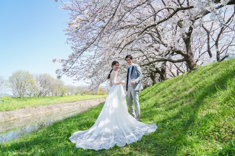 春シーズン限定　白竜湖桜ロケーション
