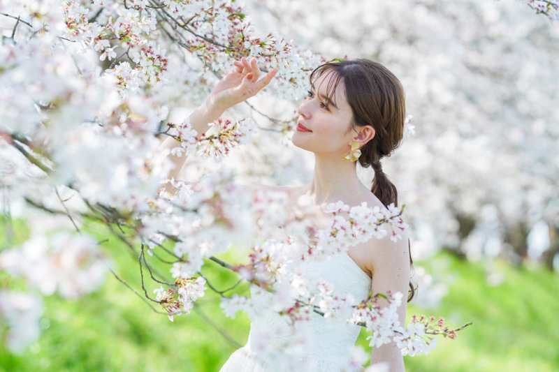 春シーズン限定　白竜湖桜ロケーション