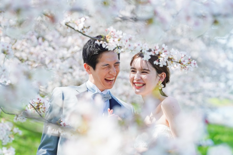 春シーズン限定　白竜湖桜ロケーション