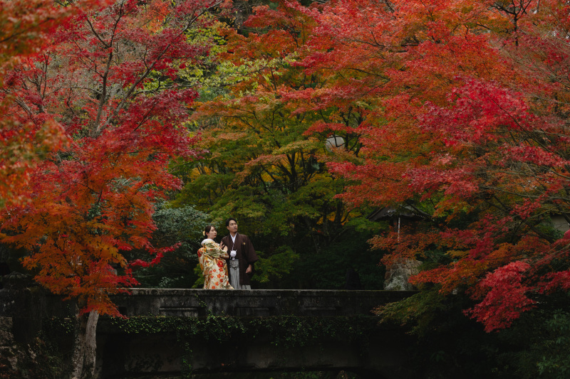 紅葉シーズン限定ロケーション