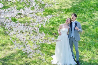 春シーズン限定　白竜湖桜ロケーション