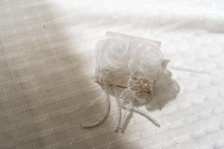 イヤリング１１