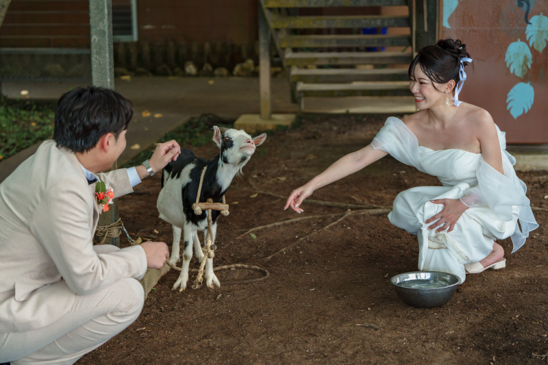 vol.5 小さなヤギとも！