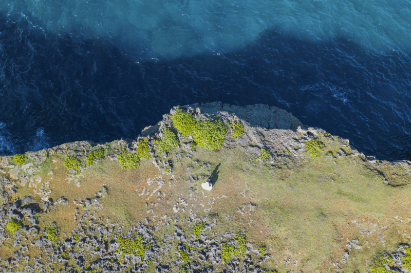 よーく見ると！