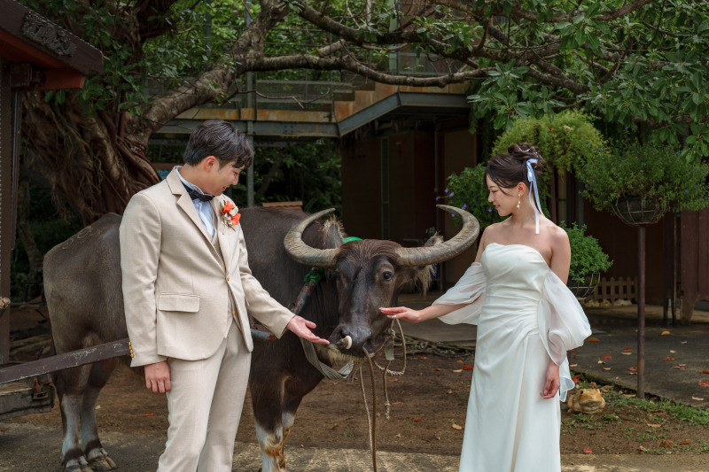 vol.4　水牛と一緒に！癒される！