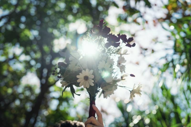光の気持ちのよい日でした
